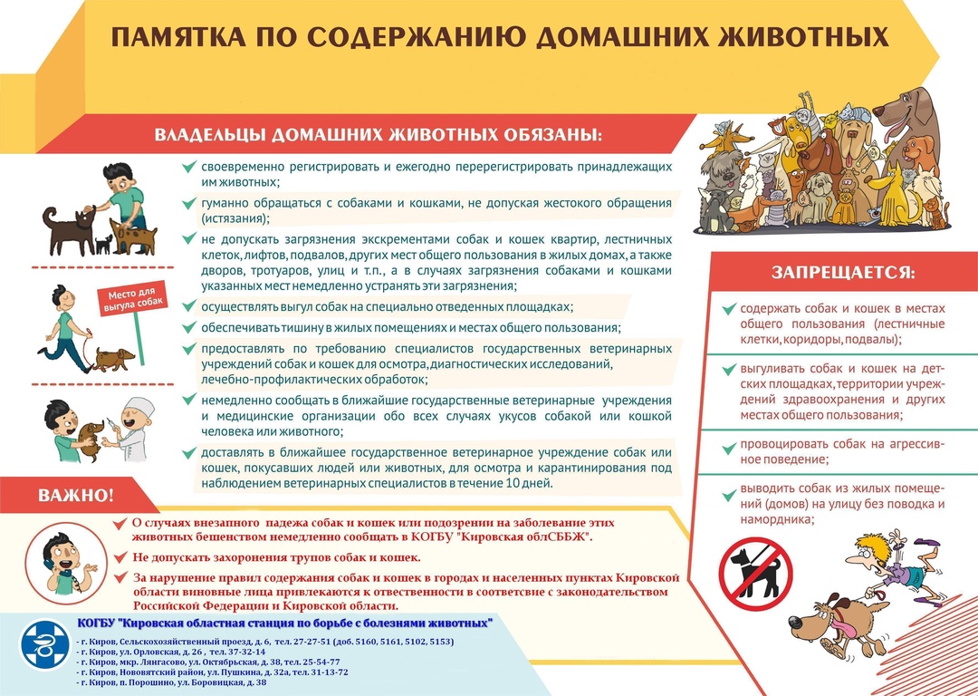 Выгул домашних животных.